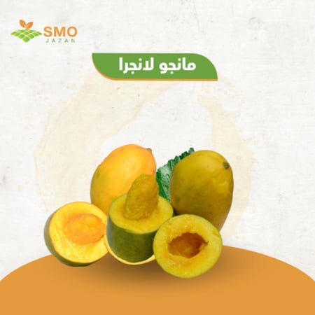 مانجو لا نجرا - متجر سلة سمو جازان