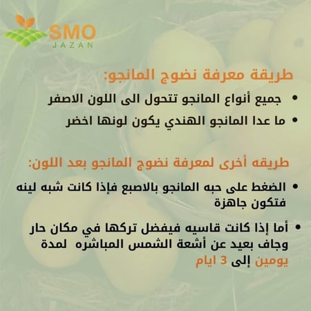 مانجو جلن كرتون ٦ كيلو