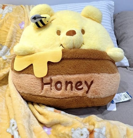 بطانية و مخدة ويني ذا بو