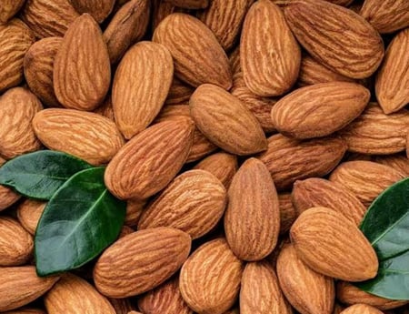 شتلات اللوز البجلى prunus dulcis