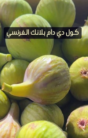 شتلات تين صنف  كول دى دام بلانك