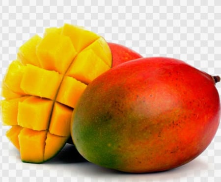 شتلات مانجو كيت