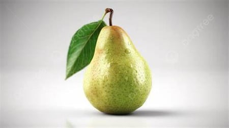 شتلات كمثرى مطعمة