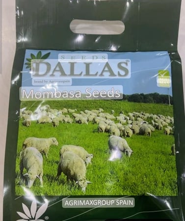 بذور بونيكام أسباني (باكيت واحد كيلو)