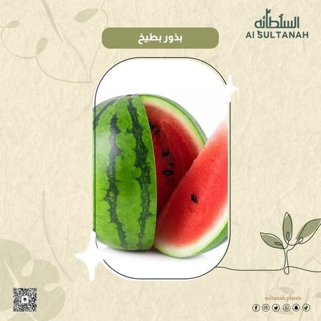 بذور بطيخ أحمر Citrullus lanatus