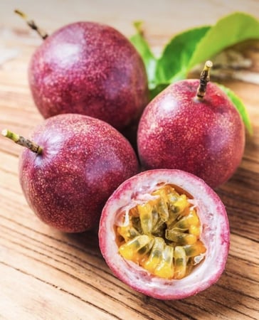 شتلات الباشن فروت Passiflora edulis