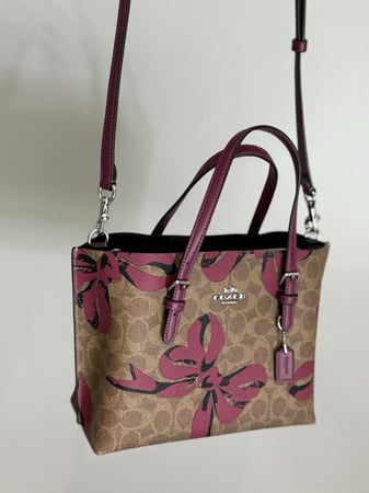 كوتش مولي باو- كاكي سجنشر/ فيونكات ورديه