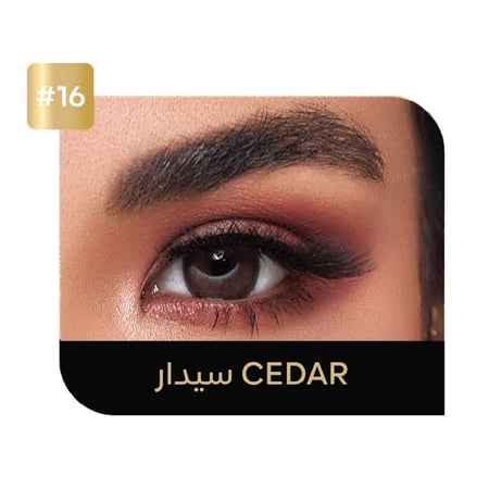 عدسات لاصقة يومية من ايكو - 16 سيدار