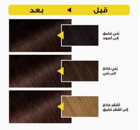 صبغة الشعر خالي من الامونيا بني موكا 4.8 من غارنييه 100مل