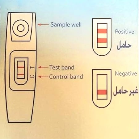 اختبار حمل منزلي من فيرست ستيب