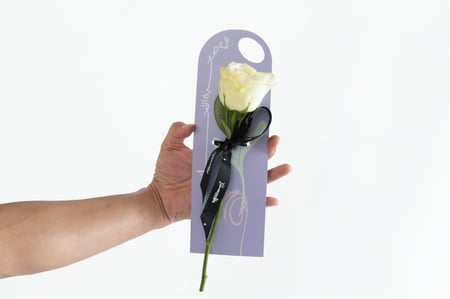 توزيعات زهرة ١٤٤٦