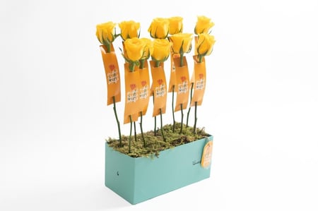 توزيعات ورد للمعلمات