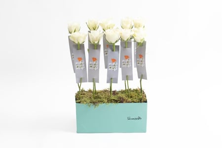 توزيعات ورد للمعلمات