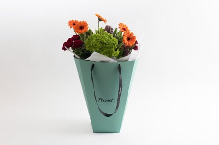 حقيبة بيبي روز