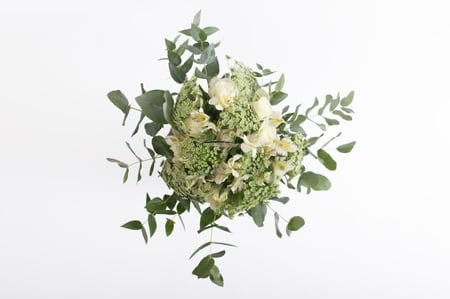 فازة حلوة سنيني