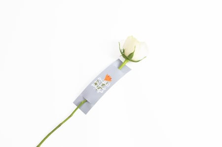 هديه اعظم معلم