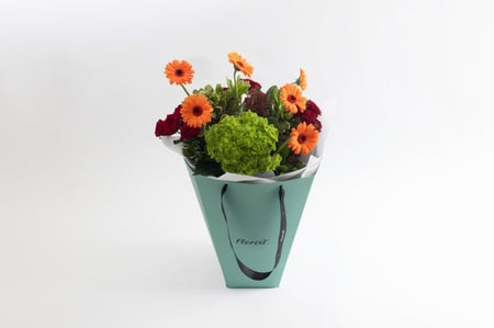 حقيبة بيبي روز