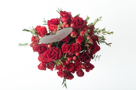 فازة ورد فاصلة نبض الحب