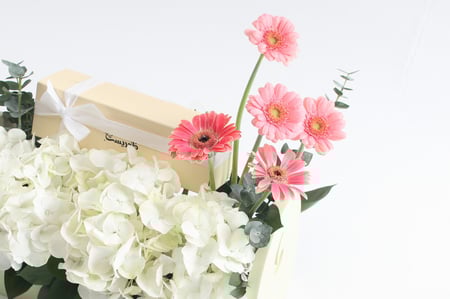 بوكس ورد فاصلة وشعرت بالسلام