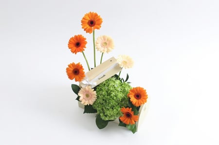 بوكس ورد فاصلة ألهمتني الفكرة