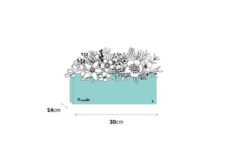 بوكس ورد فاصلة استقبلت البهجة