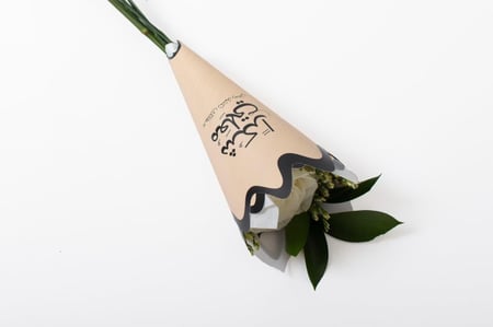 فاصلة الشكر والتقدير