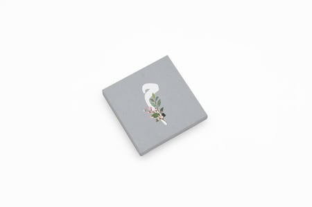 كانفس حرف م