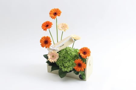 بوكس ورد فاصلة ألهمتني الفكرة