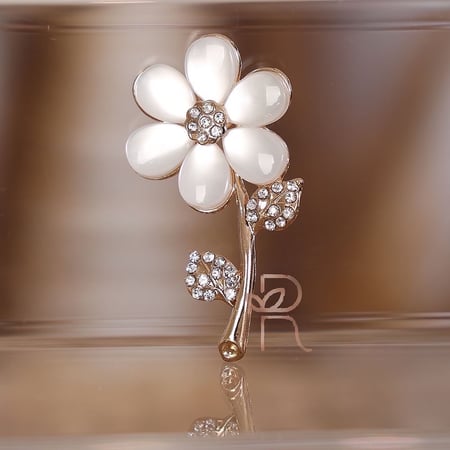 بروش بعلبة اكرلك