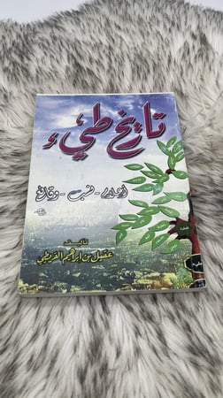 تاريخ طيء