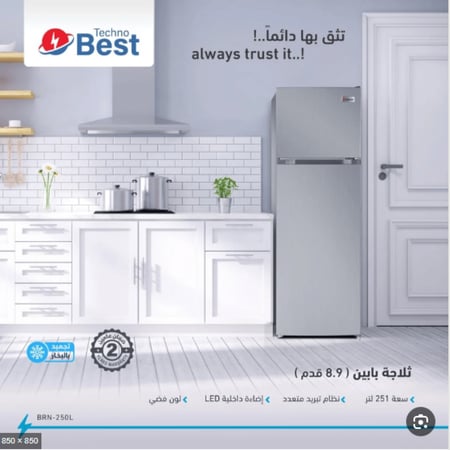 تكنو بيست ثلاجة بابين - 250 لتر - 8.9 قدم مكعب - فضي - BRN-250L