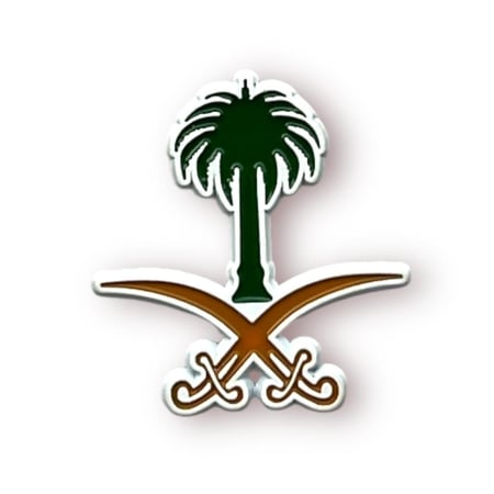 ستيكر حديد سيفين و نخله