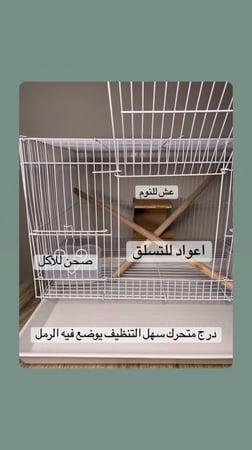 شوقر قلايدر - كلاسيك