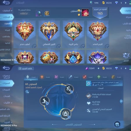 حساب موبايل ليجند ، لفل 108 + شخصيات 124 + سكنات 207, سكنات رفيع و راقية و ابيك نادرة