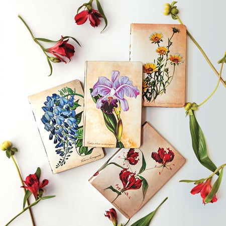 دفتر صغير Brazilian Orchid " غير مخطط "