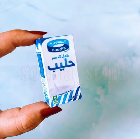 مغناطيس الثلاجة