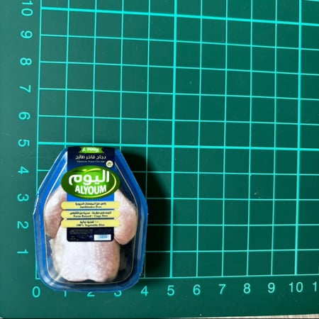 مغناطيس دجاج اليوم