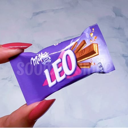 مغناطيس ثلاجة