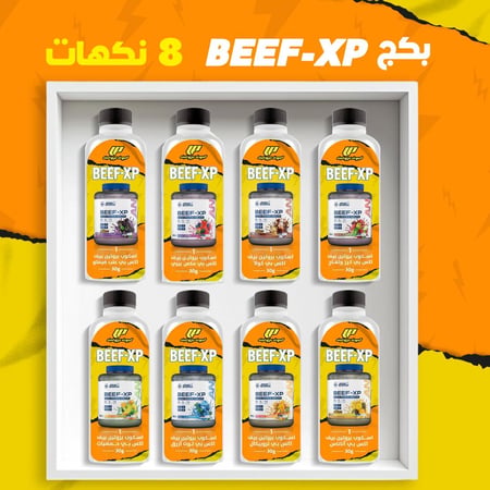 بكج عينات بيف اكس بي