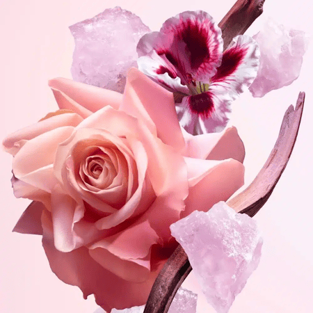 نارسيسو رودريغز أول أوف مي - متجر بسمة العطور