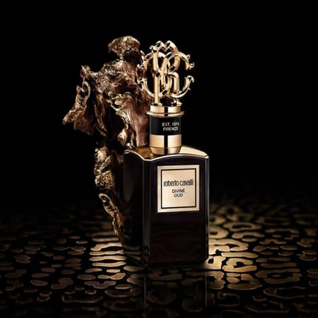 عطر روبرتو كافالي ديفاين عود او دي بارفيوم 100 مل