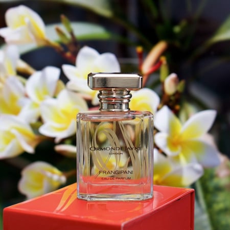 أرموند جين فرانجيباني