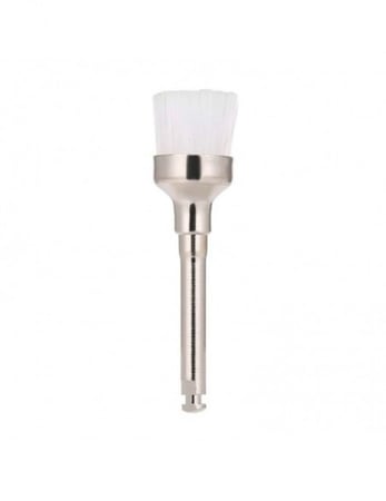 Brush Prophyl