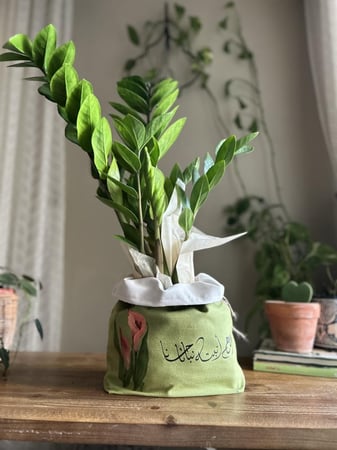 هدية لأب هدايا نباتات نبات طبيعي تغليف هدايا مواليد أفكار هدايا