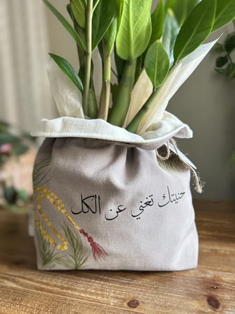 نباتات هدايا محلات نبات هدايا سنتر محل تغليف هدية هدايا فقط