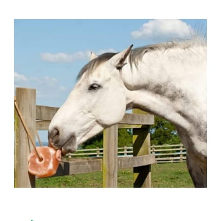 ملح للحيوانات لتوازن الهرمونات