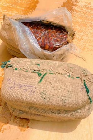 طرد خلاص 8 كغم