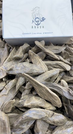 عود الشبح محسن