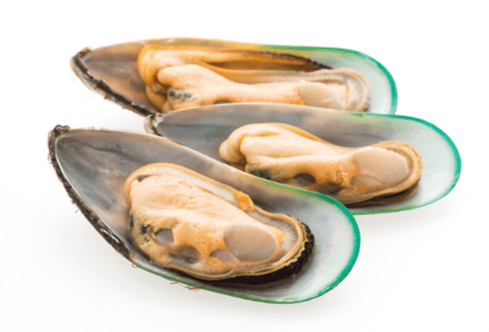 بلح البحر الأخضر نصف صدفة