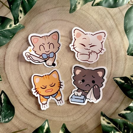 ستكرات قطط قارئة